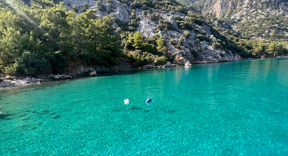 Adrasan Ceneviz Koyu Tekne Turu